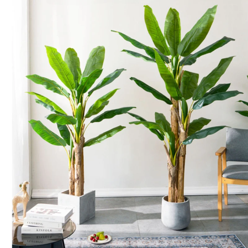 Bonsai Garden Restaurant - 180cm/210cm Large Banana Tree Potted Tropical