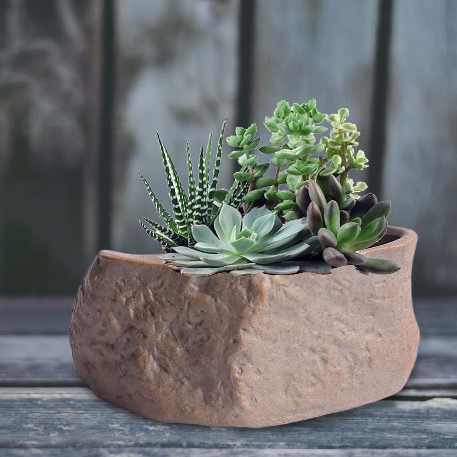 Training Pot Ceramic - Ceramic Succulent Pot Lightweight Bonsai Training