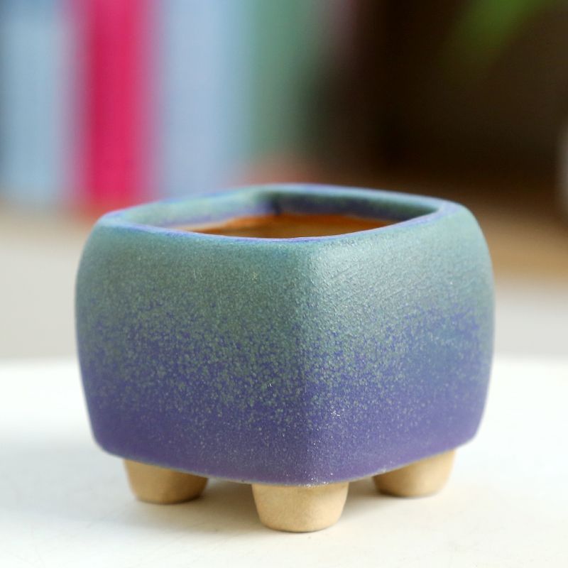Mini Fleshy Flowerpot Ceramic， - Training Pot Ceramic ulasan dan harga