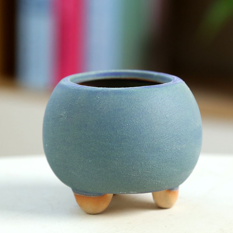 Mini Fleshy Flowerpot Ceramic， - Training Pot Ceramic ulasan dan harga