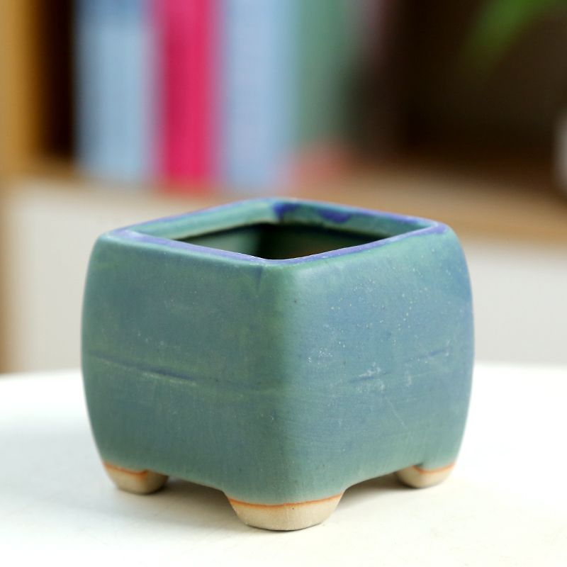Mini Fleshy Flowerpot Ceramic， - Training Pot Ceramic ulasan dan harga