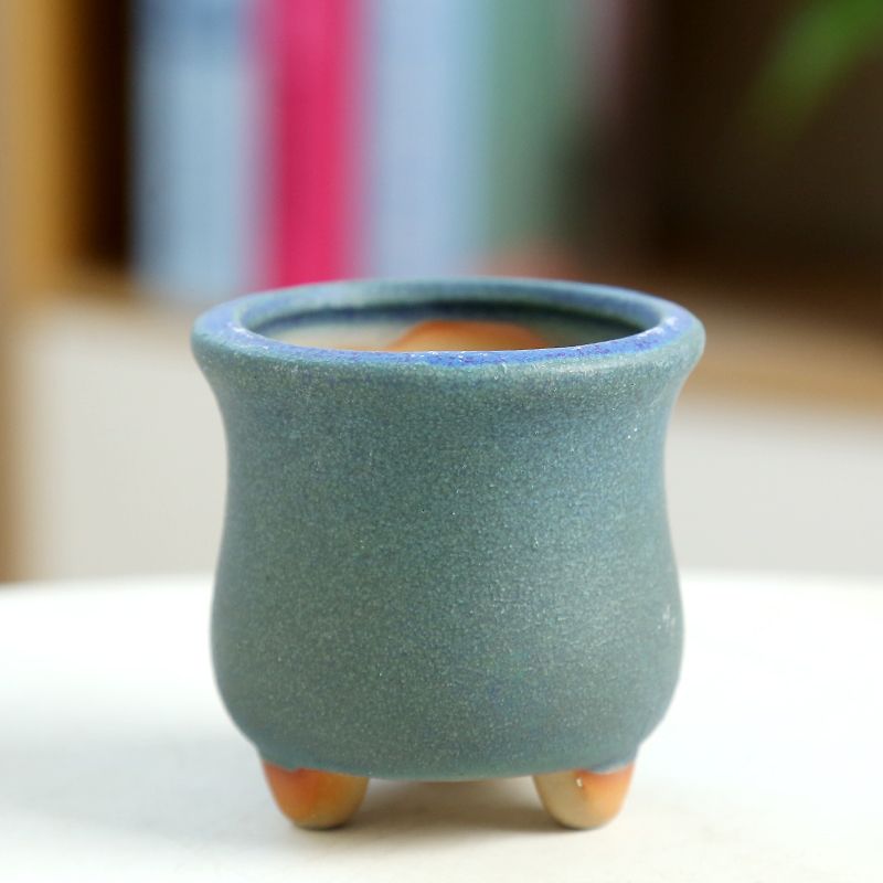 Mini Fleshy Flowerpot Ceramic， - Training Pot Ceramic ulasan dan harga