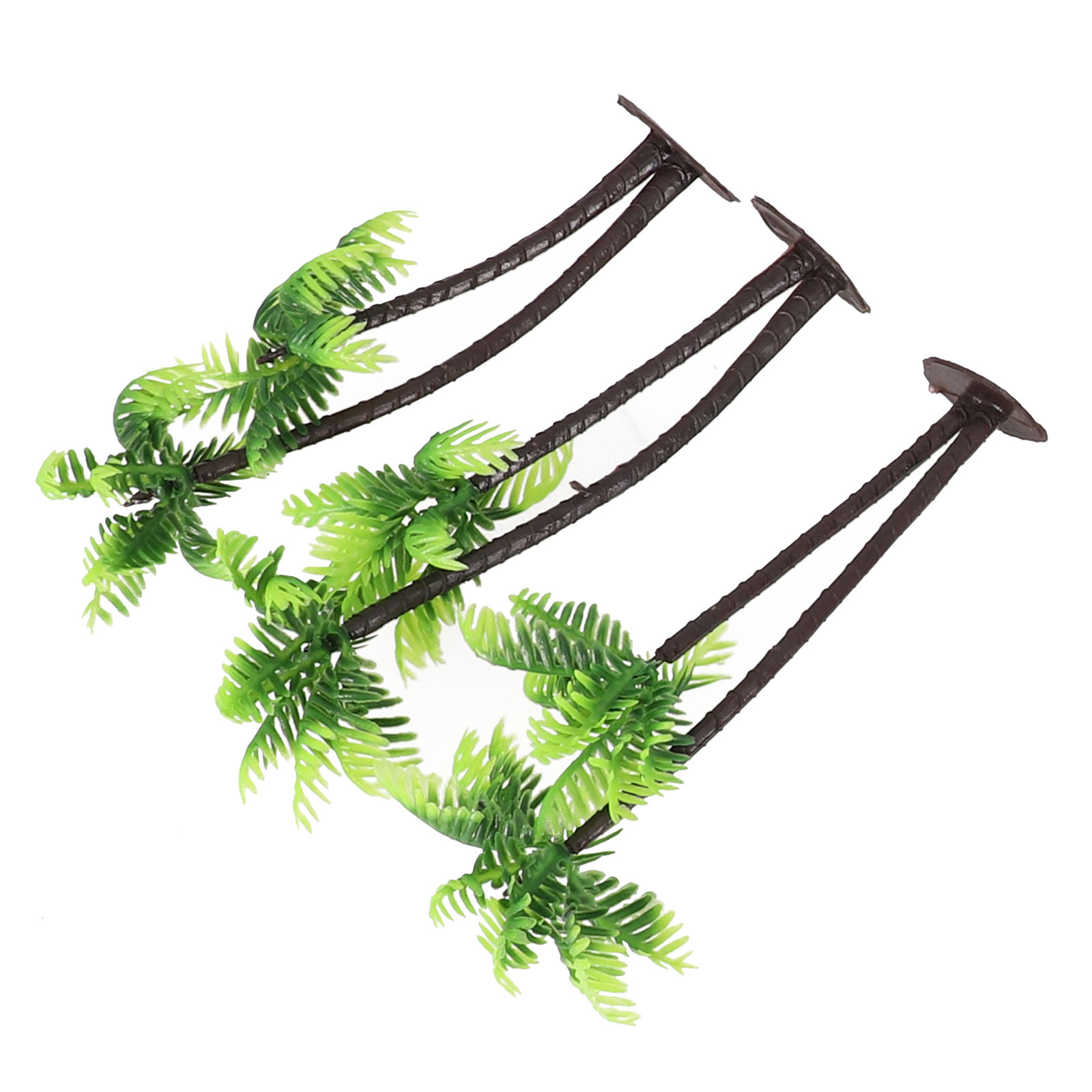 5Pcs For Mini Coconut Palm Tre - Bonsai Garden Set Up ulasan dan harga