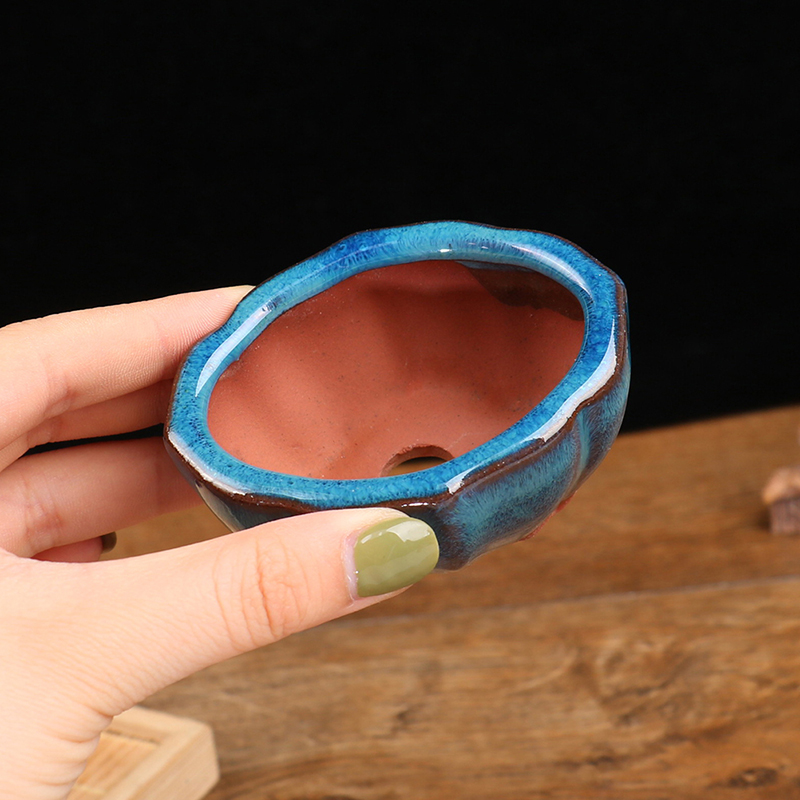 Chinese Style Bonsai Flowerpot - Training Pot Ceramic ulasan dan harga