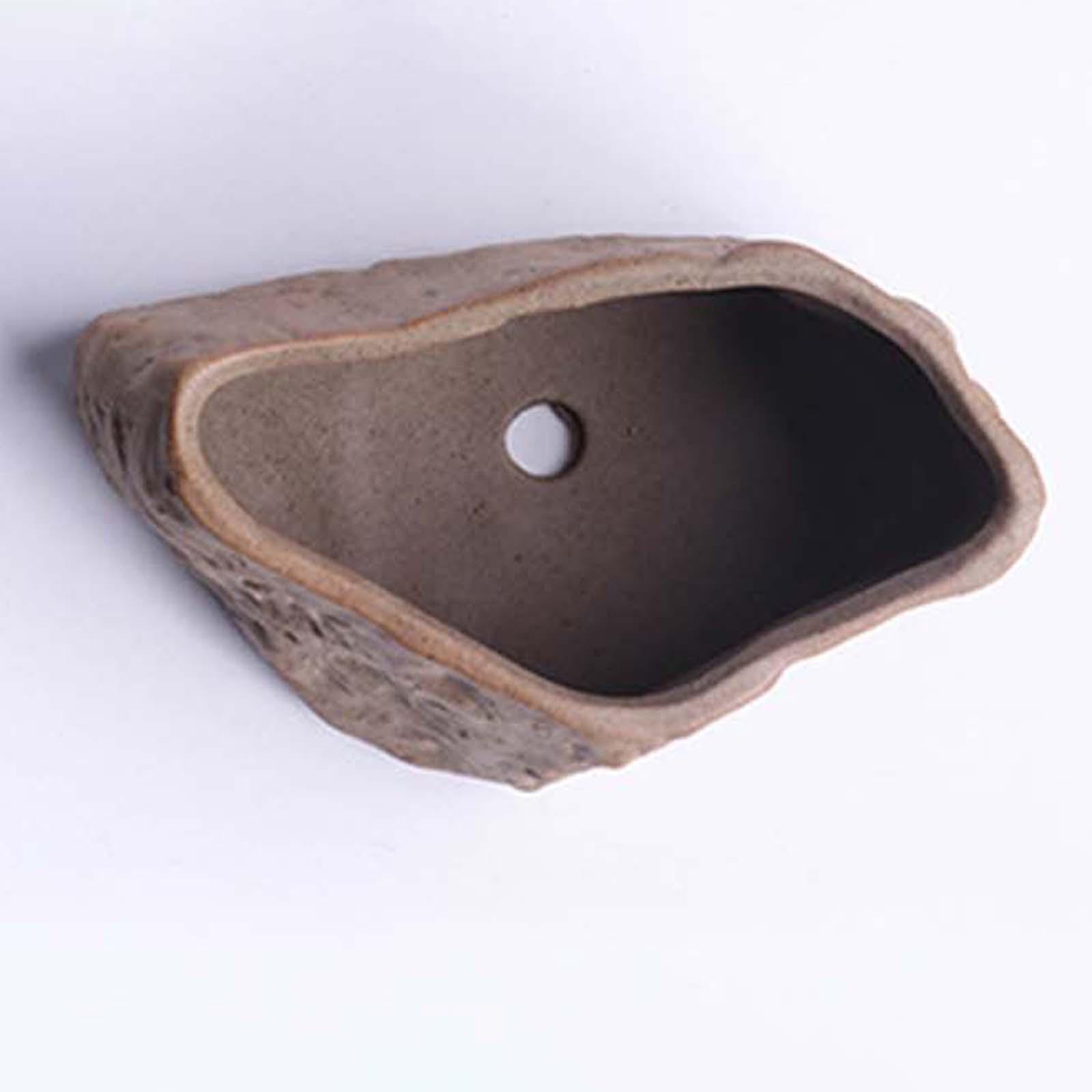 Ceramic Succulent Pot Lightwei - Training Pot Ceramic ulasan dan harga