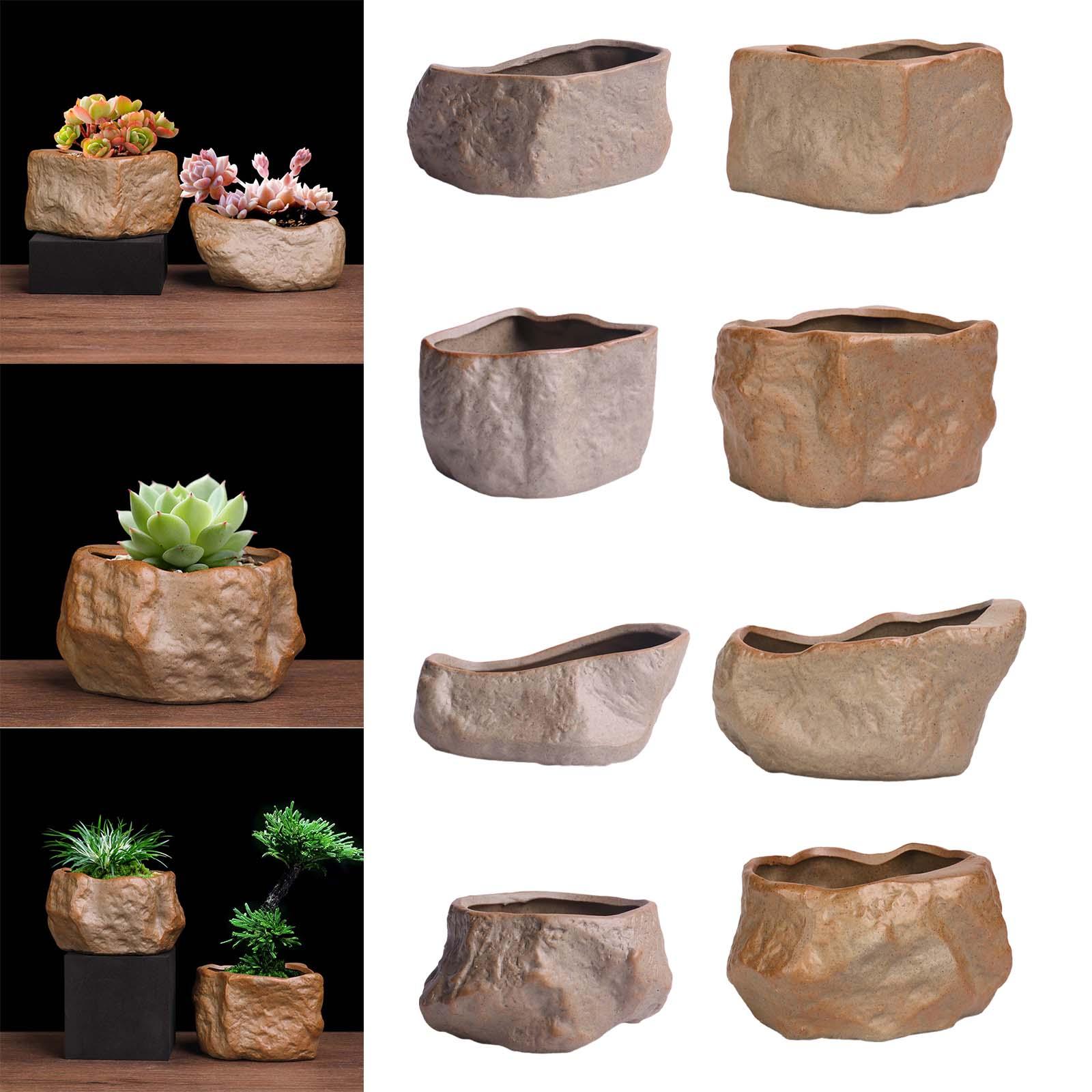 Ceramic Succulent Pot Lightwei - Training Pot Ceramic ulasan dan harga