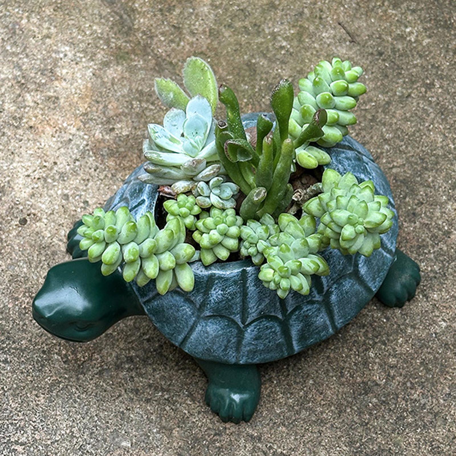 Turtle Planter Flower Pot Bons - Bonsai Garden Restaurant ulasan dan harga