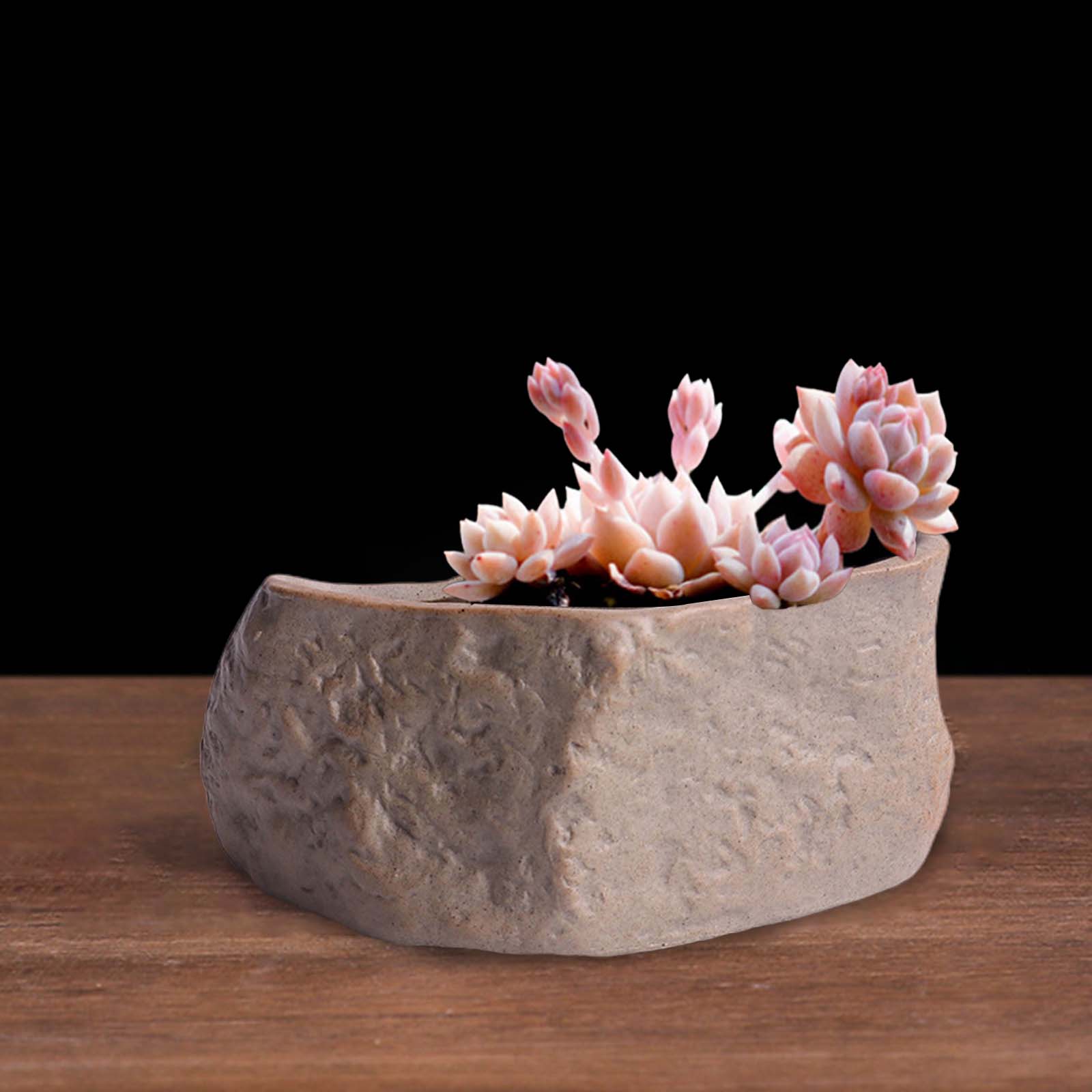 Ceramic Succulent Pot Stone Sh - Training Pot Ceramic ulasan dan harga