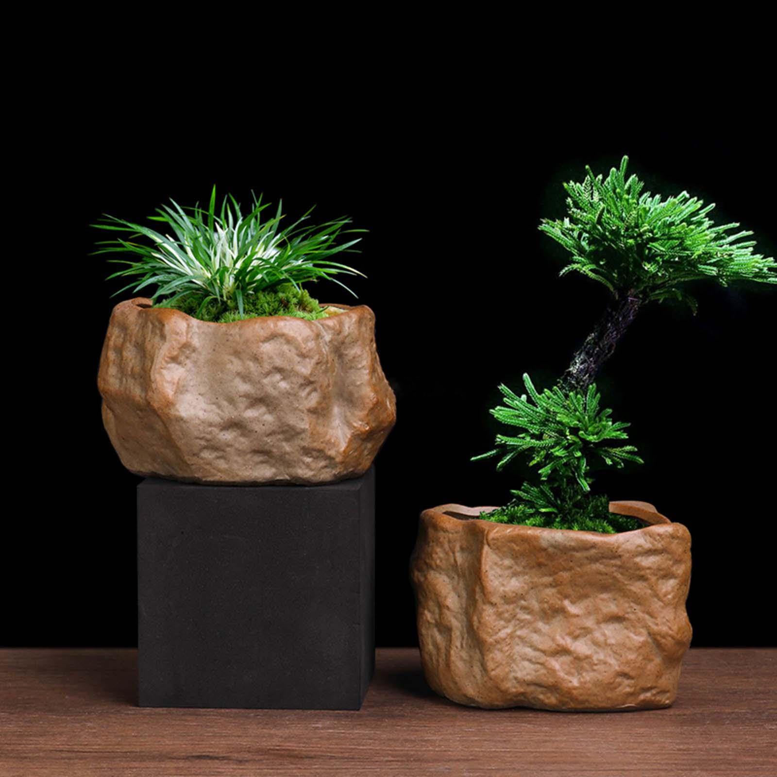 Ceramic Succulent Pot Stone Sh - Training Pot Ceramic ulasan dan harga