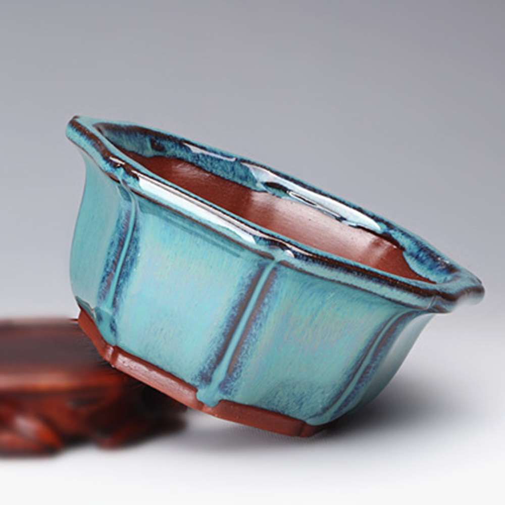 Chinese Style Bonsai Pots Brea - Training Pot Ceramic ulasan dan harga