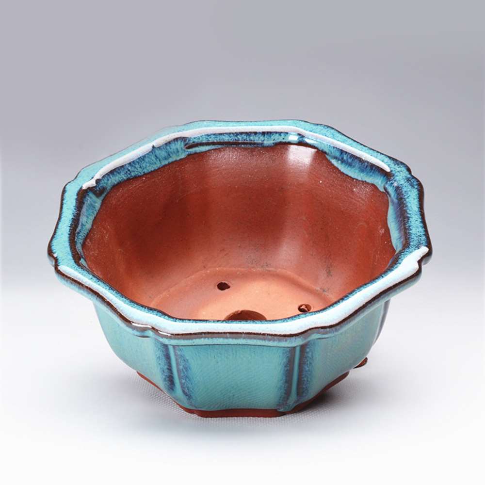 Chinese Style Bonsai Pots Brea - Training Pot Ceramic ulasan dan harga
